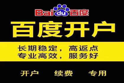某企业通过百度推广服务费实现品牌飞跃
